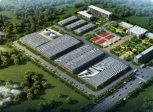 后处理净化系统